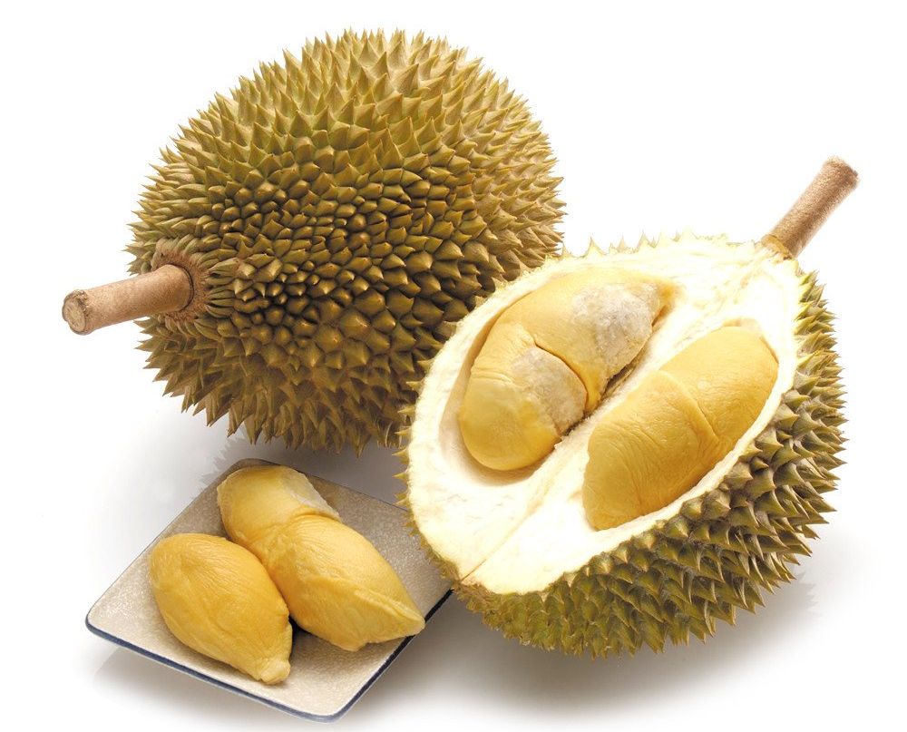 Дуриан (Durian)